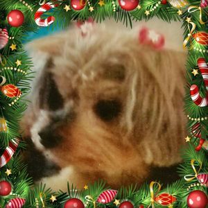 Meet your Posher, Mindy sue